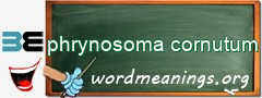 WordMeaning blackboard for phrynosoma cornutum